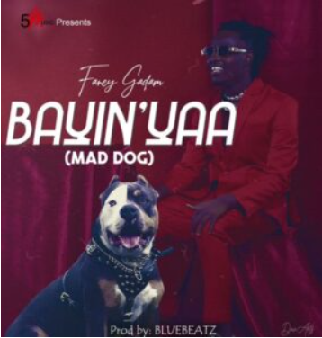 Fancy Gadam - Bayinyaa (Mad Dog)