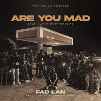 Fad Lan - Are You Mad