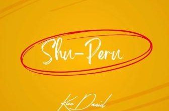 Kizz Daniel - Shu Peru