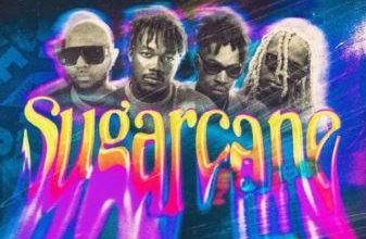 Camidoh - Sugarcane Remix ft. King Promise x Mayourkun Darkoo