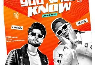 Nobby Singh ft Medikal - You Will Know