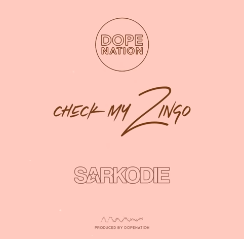 DopeNation x Sarkodie - Check My Zingo