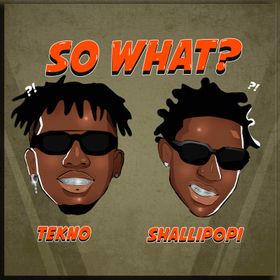 Tekno ft. Shallipopi - So What_3musicgh.com