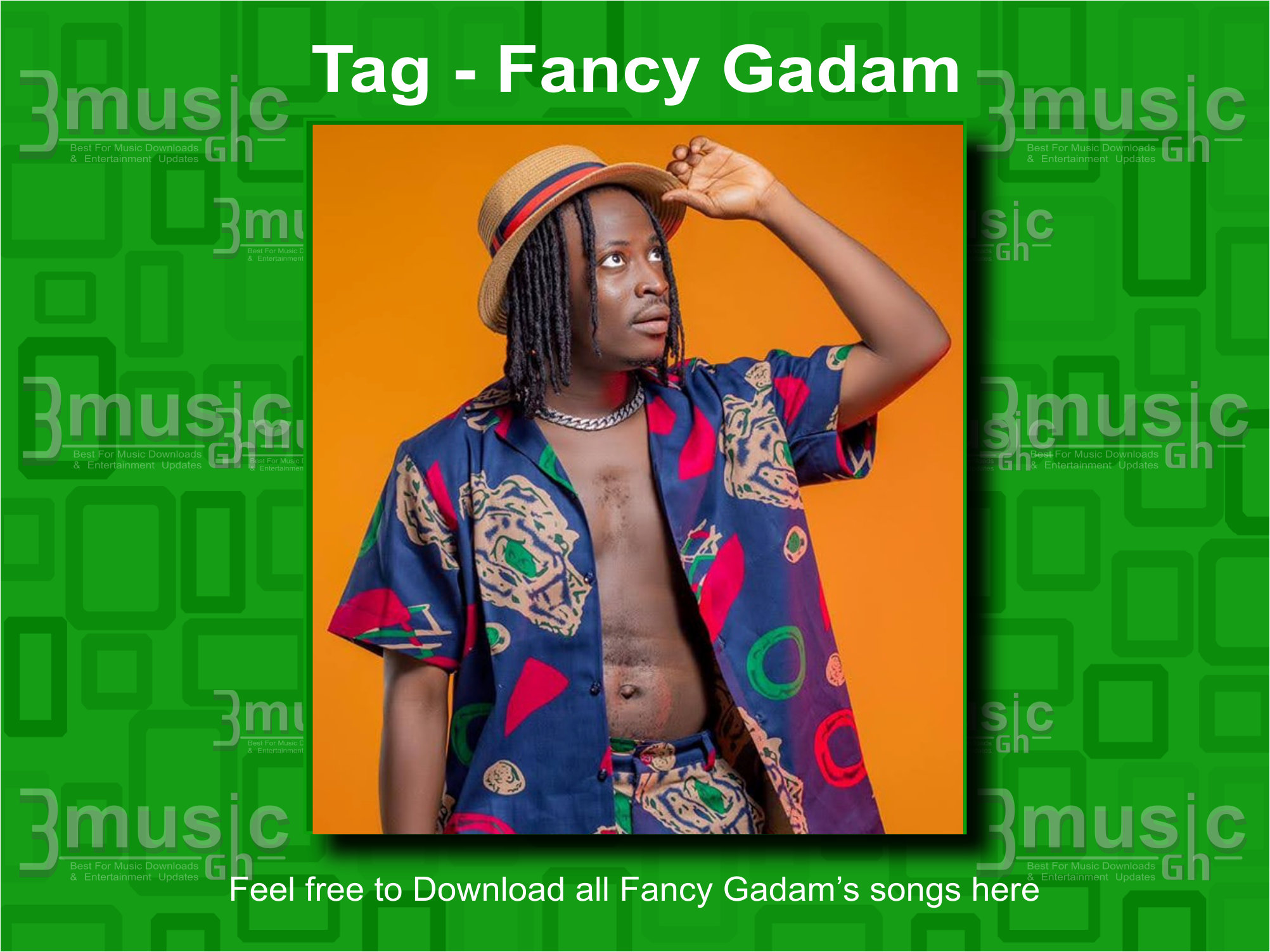 Fancy Gadam mp3 songs all download_3musicgh.com