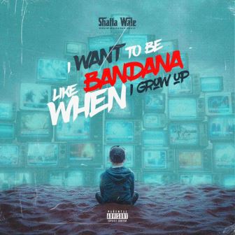 Shatta Wale - I Want To Be Like Bandana_ 3musicgh.com