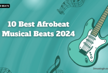 FREE BEATS: 10 Best Afrobeat Musical Beats 2024