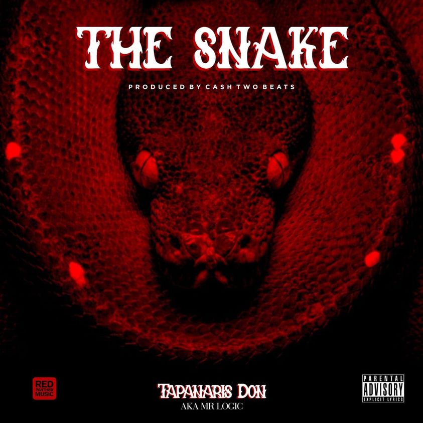 Mr Logic - The Snake