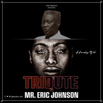 Harmless Vid - tribute to mr. Eric Johnson_ 3musicgh.com