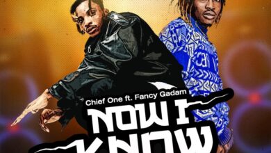 Chief One - Now I Know ft Fancy Gadam