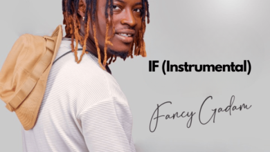 Fancy Gadam - If (Instrumental)
