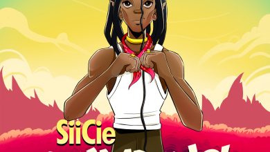 Siicie - Pumping
