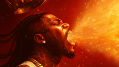 Stonebwoy - Intro Ft. OgeeTheMc