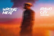 Baba Tundey – Wrong Meat