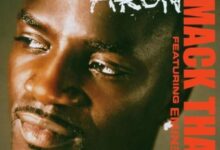 Akon – Smack That Ft. Eminem