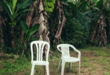 Bad Bunny – Debí Tirar Más Fotos [Full Album]