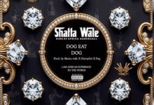 Shatta Wale – Dog Eat Dog