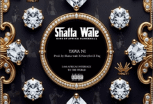 Shatta Wale – Yawa Ni