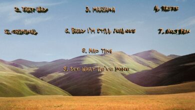 See What We've Done (Full Album) King Promise X Mr Eazi