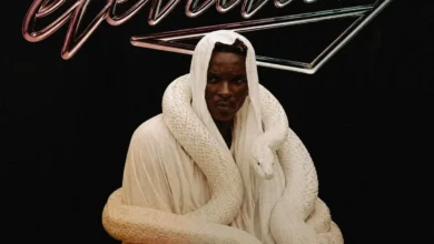 Baba Tundey – Elevation