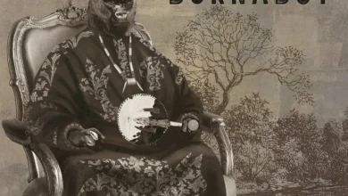 Burna Boy – Odogwu