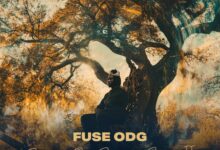 Fuse ODG - Spirit of New Africa II