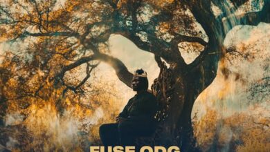 Fuse ODG - Spirit of New Africa II
