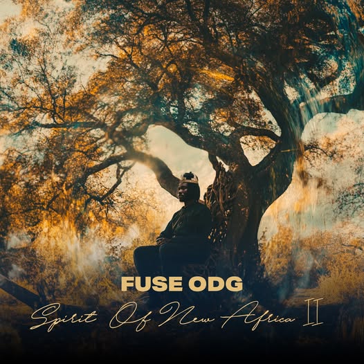 Fuse ODG - Spirit of New Africa II