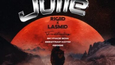 Rigiid - Julie Ft Lasmid, Reggie, Beeztrap KOTM & Skyface SDW