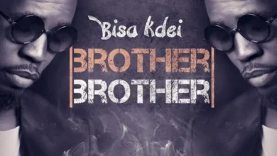 Bisa Kdei – Brother Brother