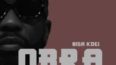 Bisa Kdei – Obra