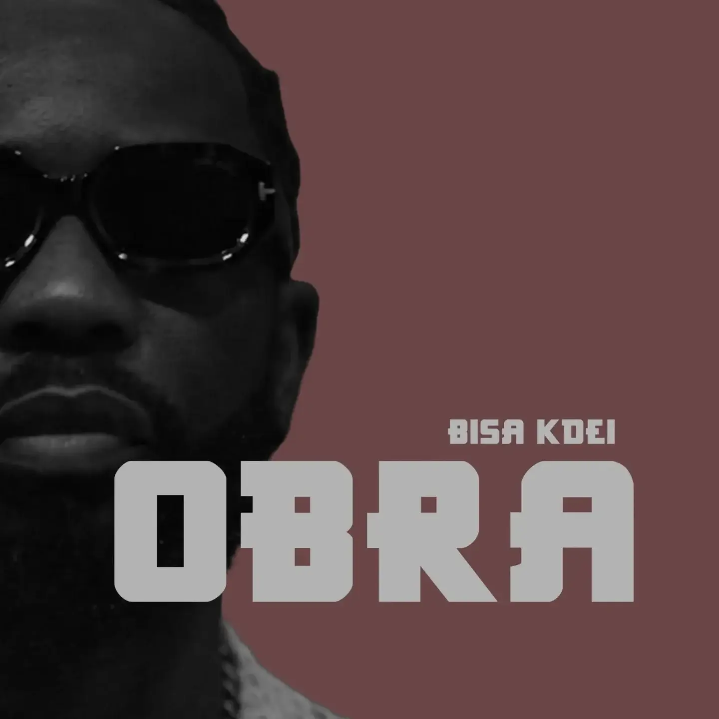 Bisa Kdei – Obra