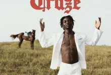 Dikoo – STF Craze