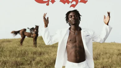Dikoo – STF Craze