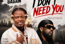 Fancy Gadam – I DON'T NEED YOU Ft. Rude Boy