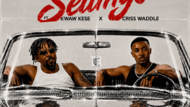 Da' Hammer – Settings Ft. Kwaw Kese & Criss Waddle
