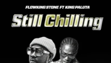 Flowking Stone & King Paluta – Still Chilling