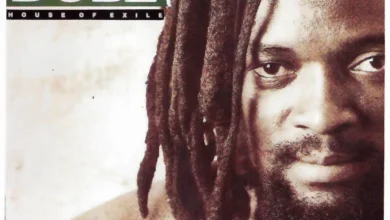 Lucky Dube – Crazy World