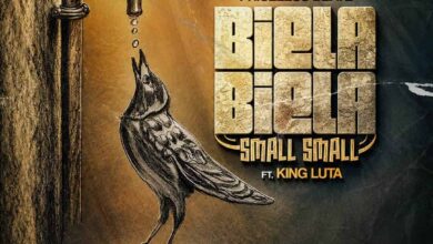 Priceless Beatz ft. King Luta - Biela Biela