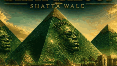 Shatta Wale - Shattalogy_ 3musicgh.com