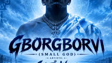 Shatta Wale - GborGborvi _ 3musicgh.com