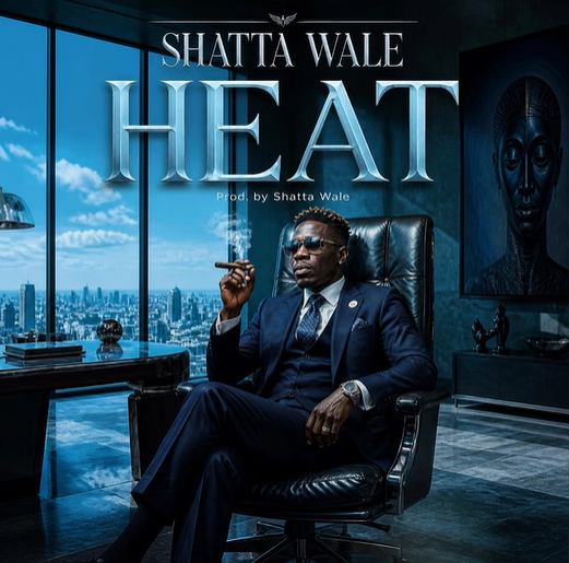 Shatta Wale - Heat