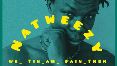 NatweezY – We Tin Ah Pain Them