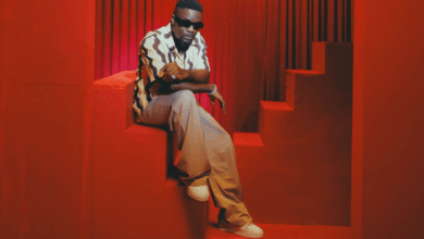 Sarkodie Ft. KiDi – Deja Vu (Visualizer)