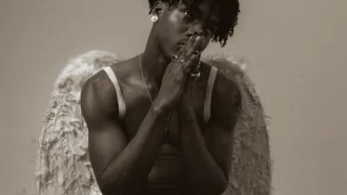 AratheJay - Wings